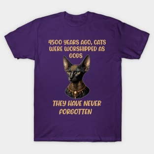 Many years ago cats were worshipped as gods they have not forgotten T-Shirt